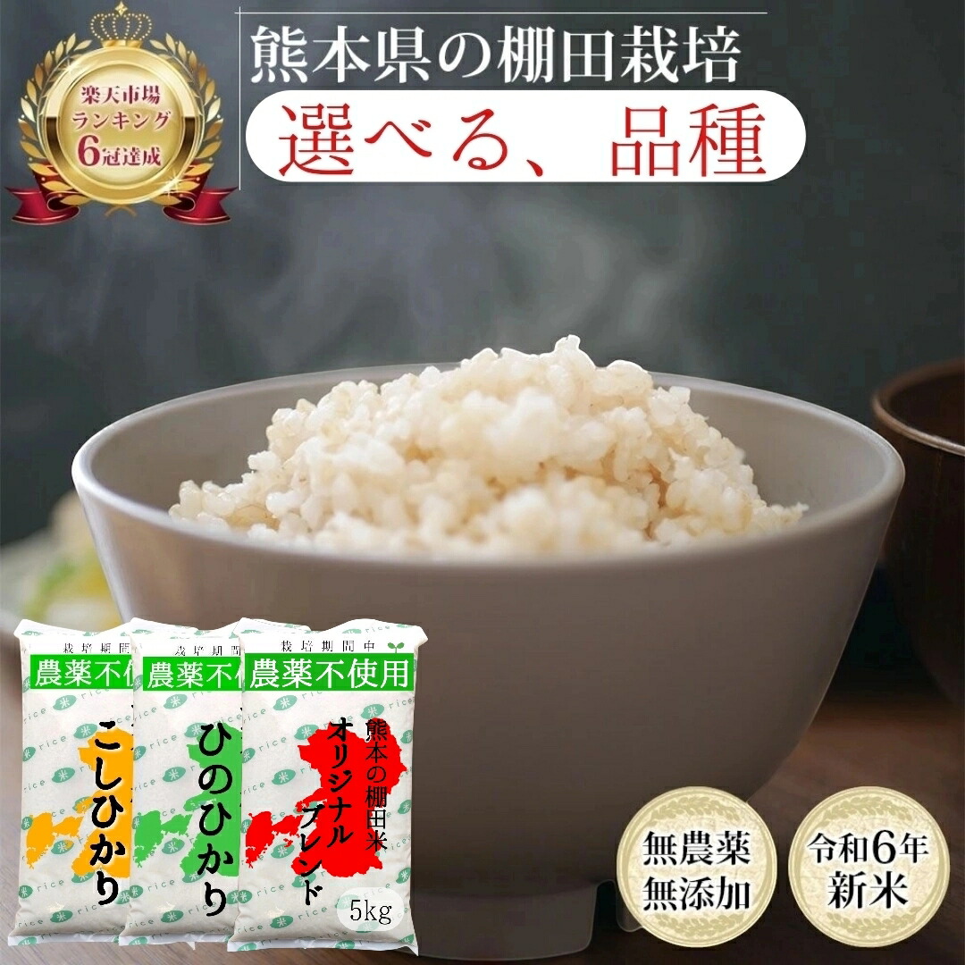 【コメ不足に備えよう】無農薬 玄米 5kg コシヒカリ ヒノヒカリ オリジナルブレンド 新米 令和6年産 熊本県産 米 5キロ 九州産 熊本 お米 農薬不使用 オーガニック 有機 有機栽培 健康 お祝い 贈り物 青玄 若玄米 ダイエット