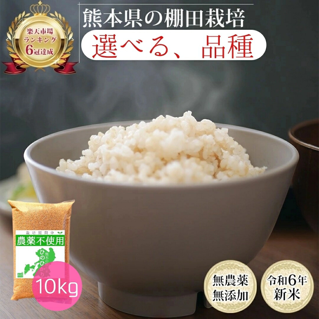 【コメ不足に備えよう1000円OFF】無農薬 玄米 10kg コシヒカリ ヒノヒカリ オリジナルブレンド 令和6年産 熊本県産 米 10キロ 九州産 熊本 お米 農薬不使用 オーガニック 有機 有機栽培 健康 お祝い ギフト 青玄米 若玄米 食物繊維 ダイエット