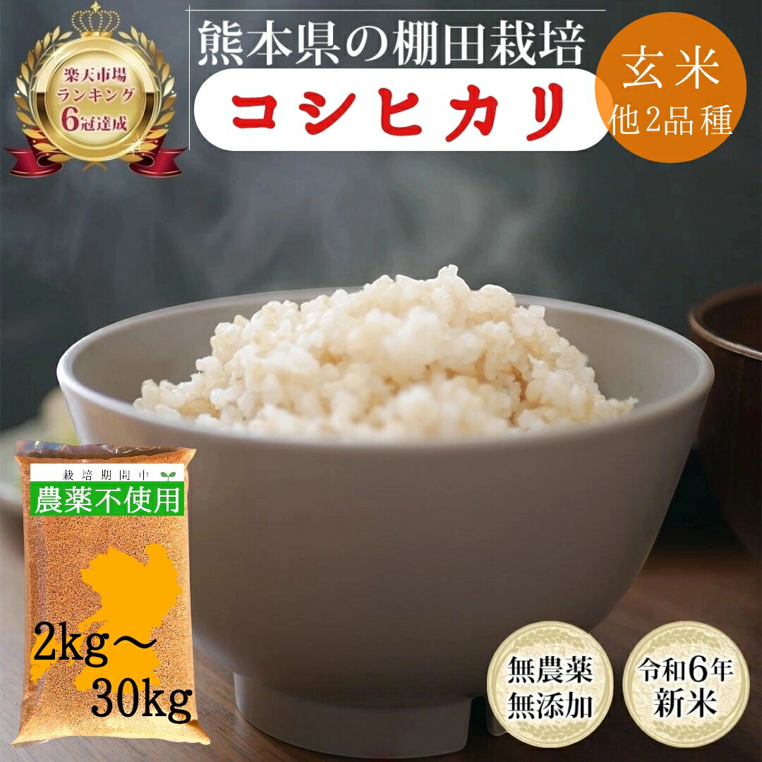 無農薬 玄米  2kg 5kg 10kg 20kg 30kg 令和6年産 熊本県産 コシヒカリ ヒノヒカリ オリジナルブレンド 青米 米 有機 新米 5キロ 無洗米 九州産 熊本 お米 農薬不使用 残留農薬ゼロ オーガニック 有機栽培 無添加 健康 農家直送