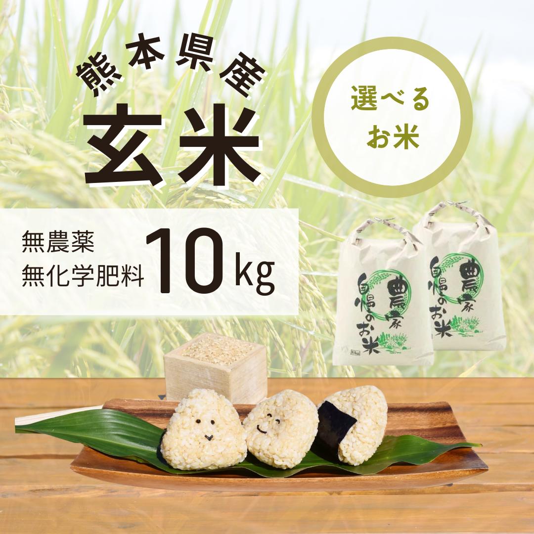 お米　有機栽培米　10キロ