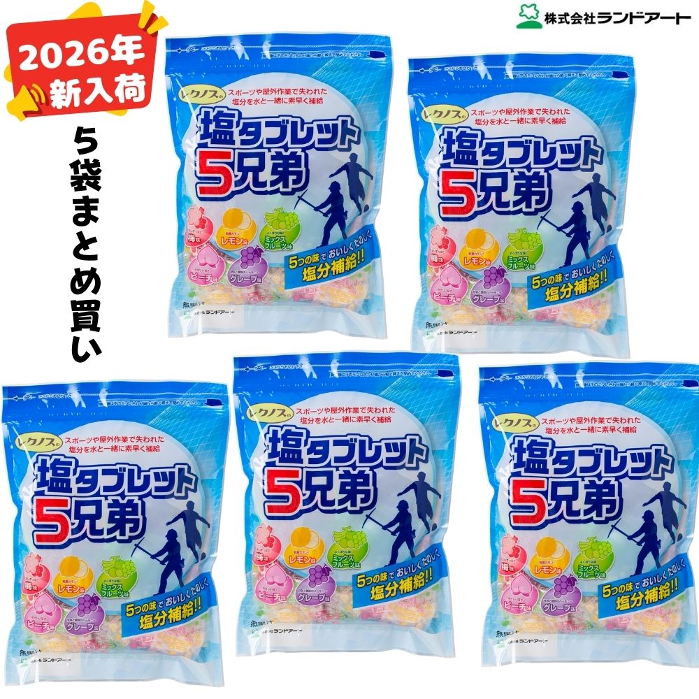 2026年最新入荷【5袋まとめ買い】 ランドアート 塩タブレット5兄弟 (500g x 5袋入） [塩飴 塩あめ 塩タブレット5兄弟]｜ハカリスタ店