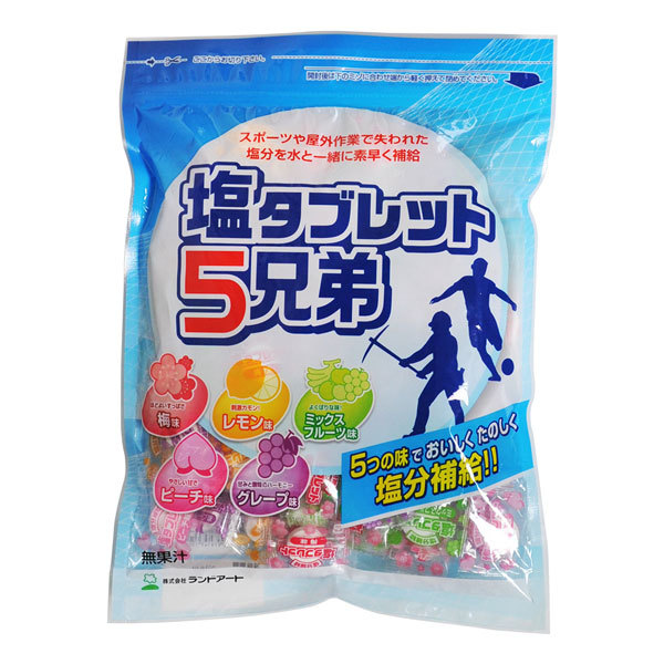 ランドアート 塩タブレット5兄弟 10袋まとめ買い お買い得!