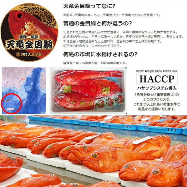 貨物輸送無料 泥 金目鯛 快眠活魚 養殖真鯛 しゃぶしゃぶ アラ炊 食べ比べひとそろい めいめい1尾 お取り寄せ 進上 御中元 御歳暮 椿堂の日取り 母親の日 送料無料 御前上等 地 金目鯛 真鯛 の しゃぶしゃぶ 食べ比べ 一揃いの道具 Damienrice Com