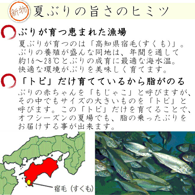 貨物輸送無料 新物 朱炎 ぶりとろ 刺身狙い 粗々250g 2pc ブリ トロ ぶり 鰤 鑑定人食道 Cannes Encheres Com
