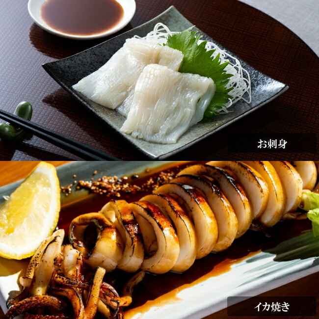 楽天市場 送料無料 日本海産 するめいか 真いか 生食用 中型 サイズ 10杯 1 8kg前後 いか イカ 烏賊 刺身 スルメイカ はかた漁師の里