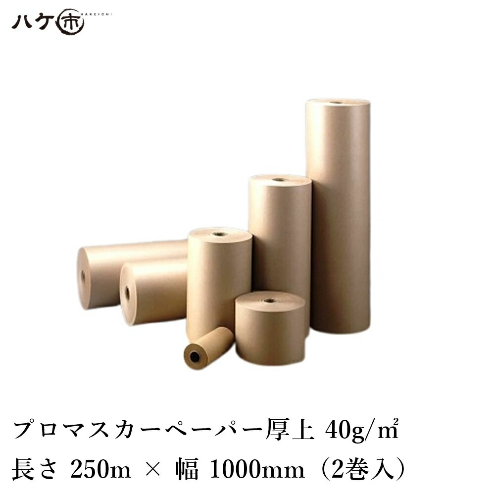 プロマスカーペーパー 厚上 40g/平方メートル 幅 1000粍 長さ 250m 奥ふかさ 0.065～0.07粍 2本入 P117｜メラミン脂練り合わせる 息休め原材料【会社組織名至要たる 代引不可】