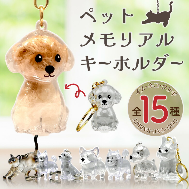 わたあめ 楽天市場】【選ぶ景品】 ジャンボ わたあめ屋さん 大型 わたあめ