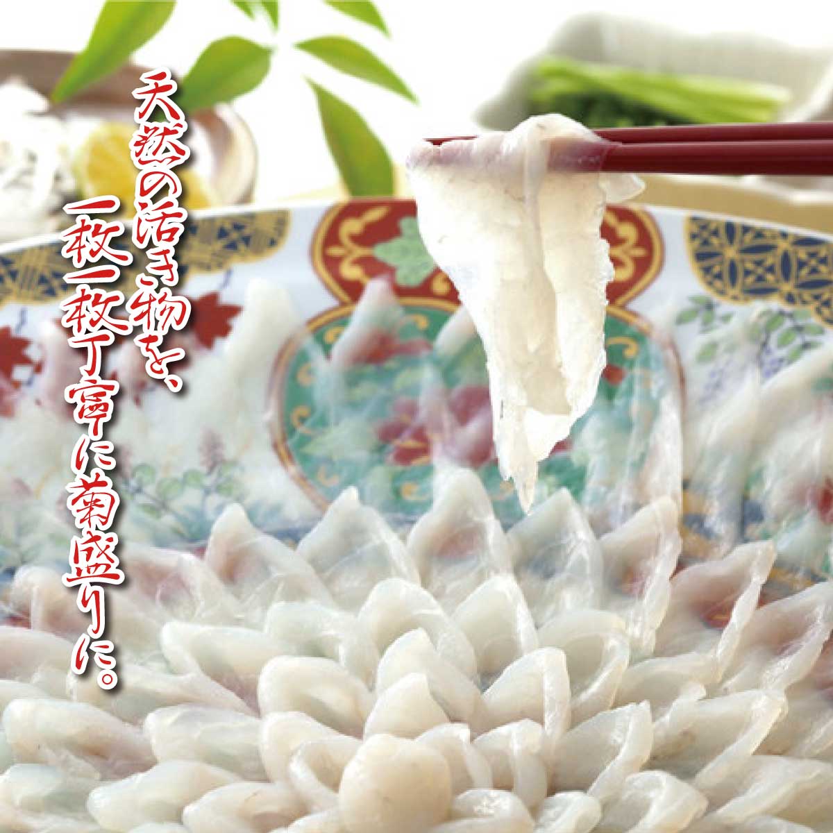 半額 敬老の日 早割 ギフト 敬老 ふぐ お取り寄せ 天然トラフグ刺身セット 約4 5人前 Ft 2 ふぐ刺し 刺身 セット 冷蔵 グルメ 山賀 退職祝い 誕生日 記念日 贈答品 母の日 父の日 贈答 お祝い 出産祝い 敬老ギフト プレゼント Fucoa Cl