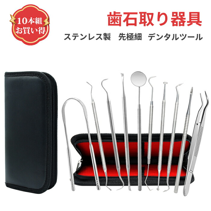 360円 正規品送料無料 br19# 10本セット専用ケース付き歯石取り器具 歯石削り セルルケア 豪華 しこう取り ステンレス製 自宅用  デンタルツール 歯間 ヤニ 歯垢取り 口臭予防