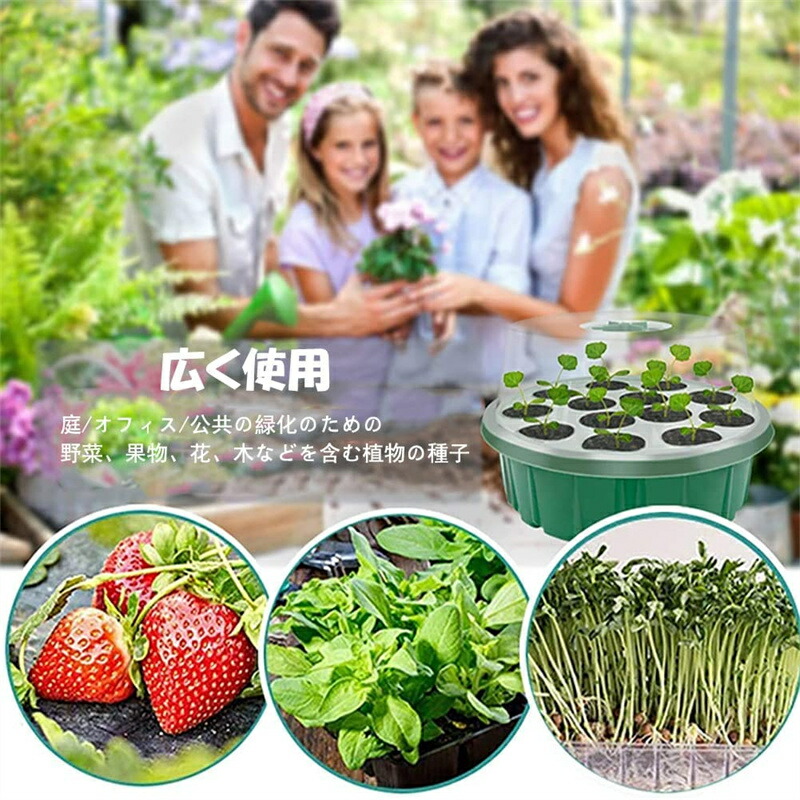 70％OFF】 （なないろ館）育苗ポット 6個セット 育苗トレイ 苗箱 種まき 発芽 育成 苗 野菜 植物 家庭菜園 水やり ハウス 通販 