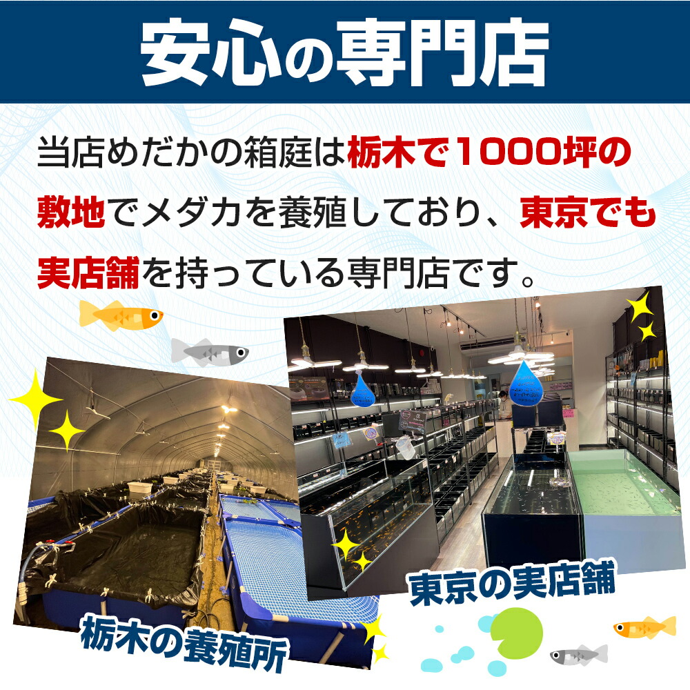 安心の専門店