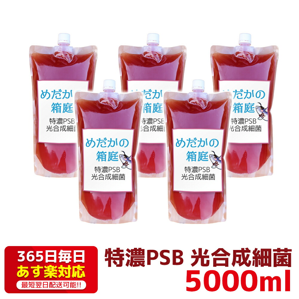 894円 スーパーセール 特濃PSB 光合成細菌 5000ml 送料無料 針子から稚魚に最適 あす楽対応 12時までの注文でその日に発送 水質改善や稚魚の生存率  成長率アップに