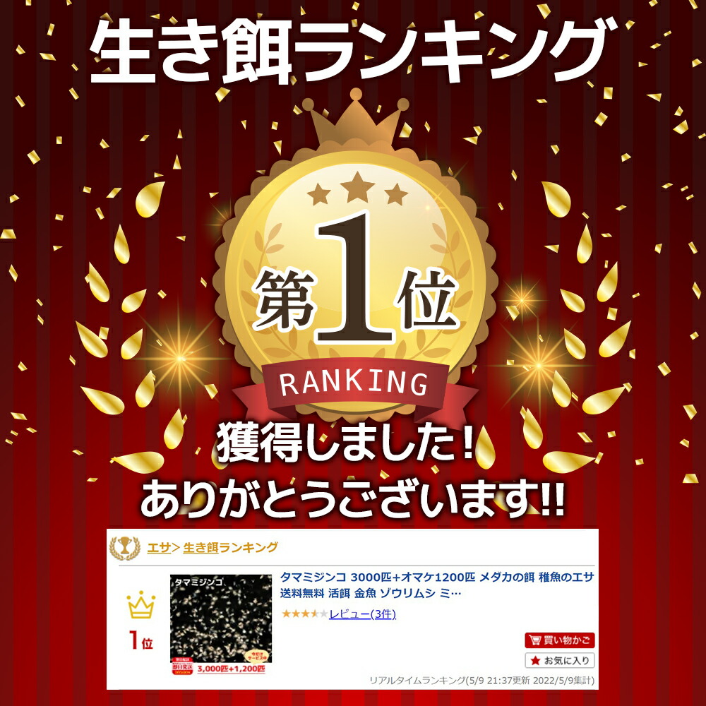 生き餌ランキング