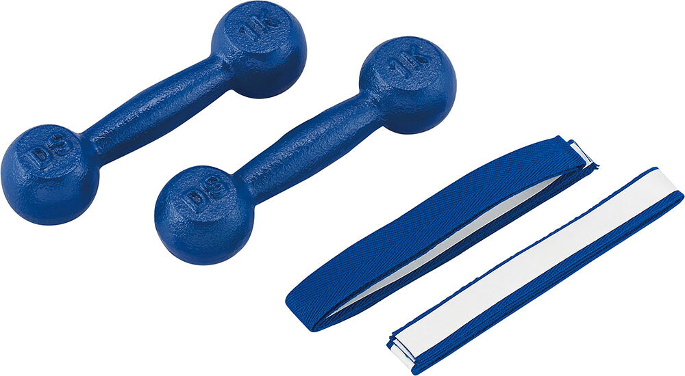 DANNO （ダンノ） ボディーケア 器具・備品 鉄アレー 3kg 【ブルー】 D-805 器具 おもり メンズ・レディース 男性用・女性用 淡野製作所 青 SS-2 {SK}