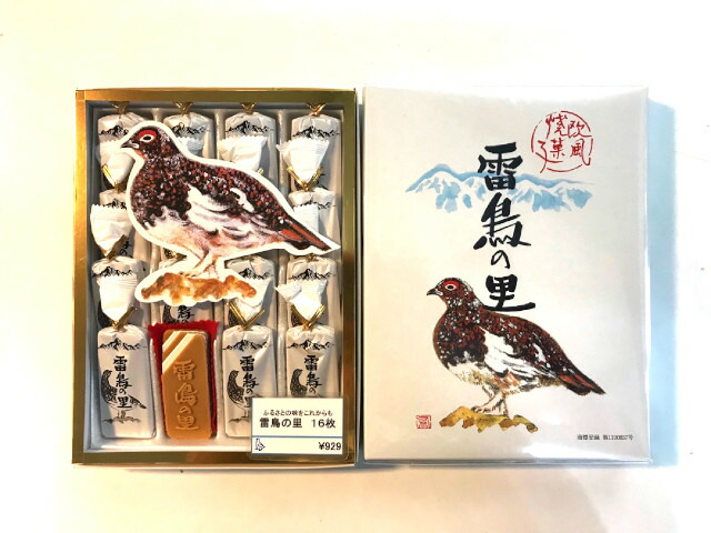 大の里　25枚限定 imgrc0096985133.jpg