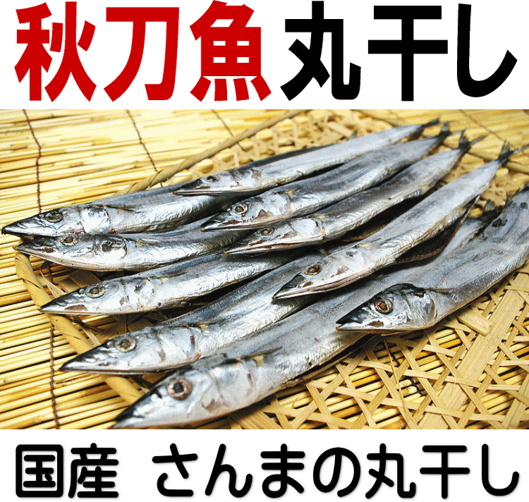 楽天市場 さんま丸干し５本 小さめ 約60g前後 国産 秋刀魚の丸干し 脂がぬけた物ほど最高 はらわたあり ハクダイ食品グルメ村