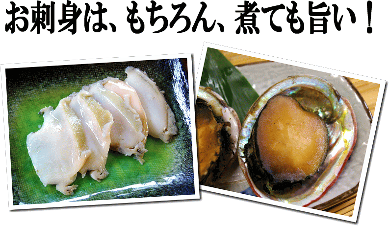 楽天市場 鮑 あわび 1玉50 70ｇ 磯の香りが堪りません チリ産養殖アワビが驚愕特価 ハクダイ食品グルメ村
