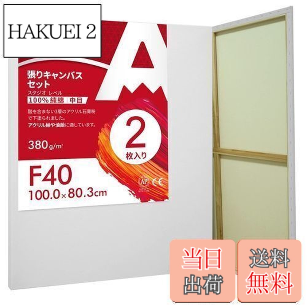 【貨物輸送無料】AUREUO 張り帆布 仕掛ける F40 (100cmX80.3糎) 中目 100％綿織物 2枚 未経験者 線描手道具 美術絵仕立て上げる 今日このごろ油画 芸術かざり付ける 水彩画画・油画画・アクリル繊維兼用