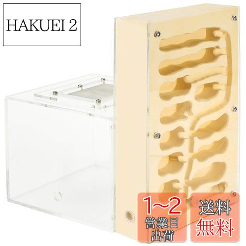 EnergyPower アリ飼育キット 石膏製巣箱 大型 アリ活動スペース付き 土やゲルを使用しないので腐らず清潔 お子様でも安心の観察キット 最初から巣穴ができあがっているので数の多いコロニーでもすぐに生活可能 保湿性が高く湿度管理がしやすい石膏巣の蟻専用飼育ケース