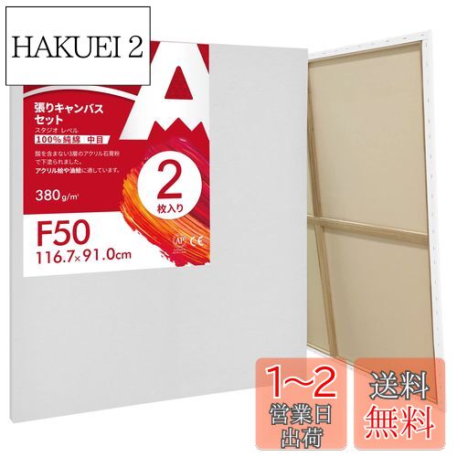 張りキャンバス　12　F,P,M　クレサン　10枚セット　キャンバス 張りキャンバス 12 F,P,M クレサン 10枚セット キャンバス 楽天
