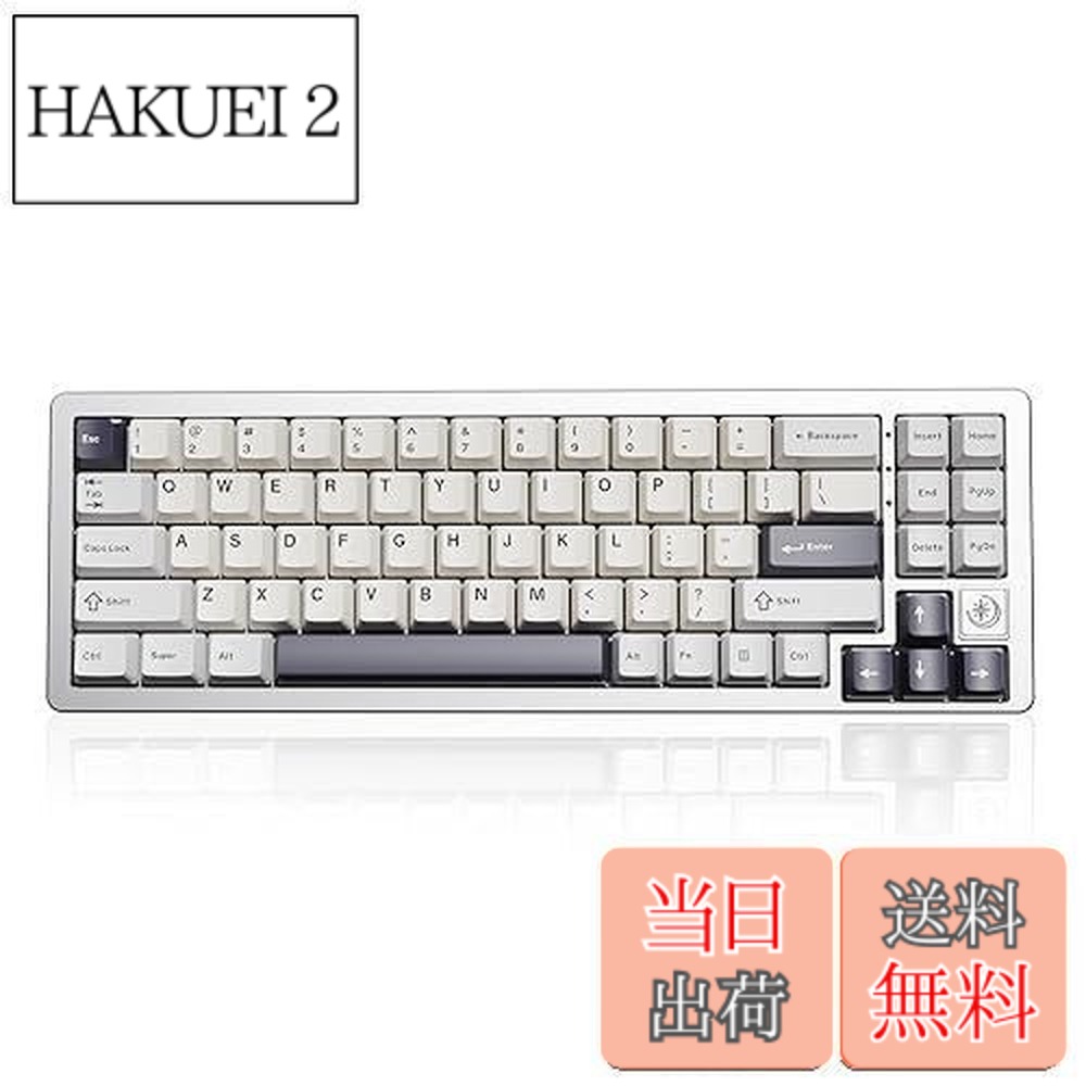 【貨物輸送無料】YUNZII AL71 力学的鍵盤 68% パウダーコンパクト 盛りだくさん軽銀CNC産業 屁っ放り毛布社会システム [Bluetooth/2.4G/USB-C 三流行り物繋ぎ合わせる] 熱っぽい引き替える相応う NKRO RGBうしろ側ともし火 Win/Mac両相応う 技適証明済み 差し上げ物相応う（しろがね色、クリスタルホワイトスイッチ）