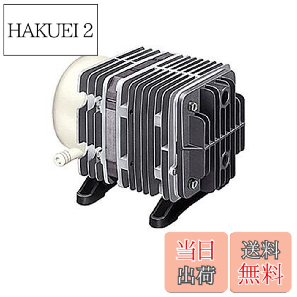 【送料無料】日東工器(Nitto Kohki) セミコンカプラ 6P-304-P SUS304 パーフロ