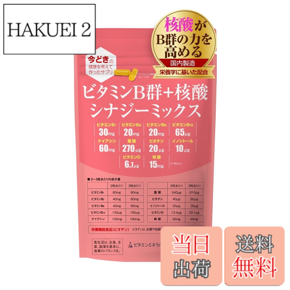 【送料無料】ビタミンB群+核酸 シナジーミックス サイズ:1袋