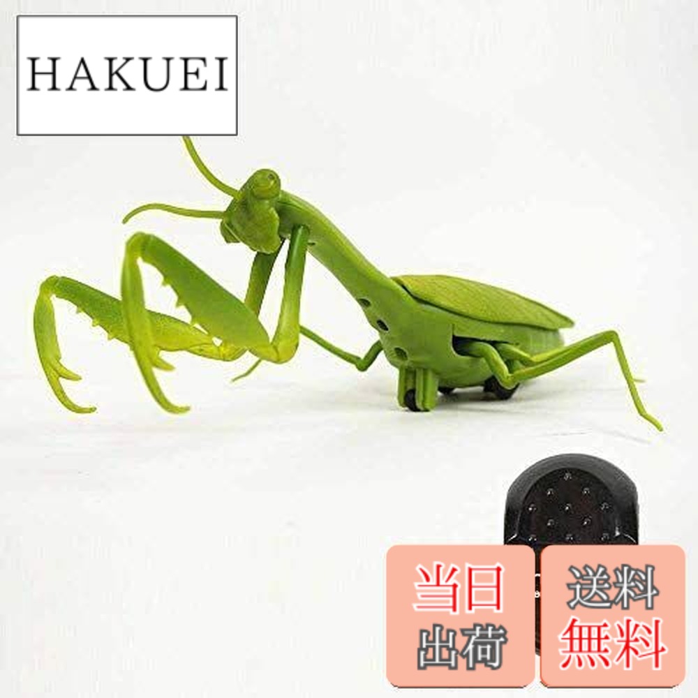 楽天市場】カマキリ ラジコン Mantis Radio Controlled : T.M.Bストア