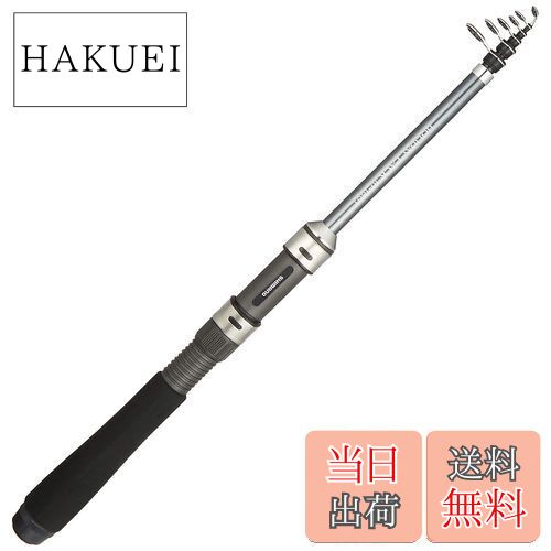 楽天市場】【送料無料】ダイワ(DAIWA) 21 ブレイゾン C66ML-2 2