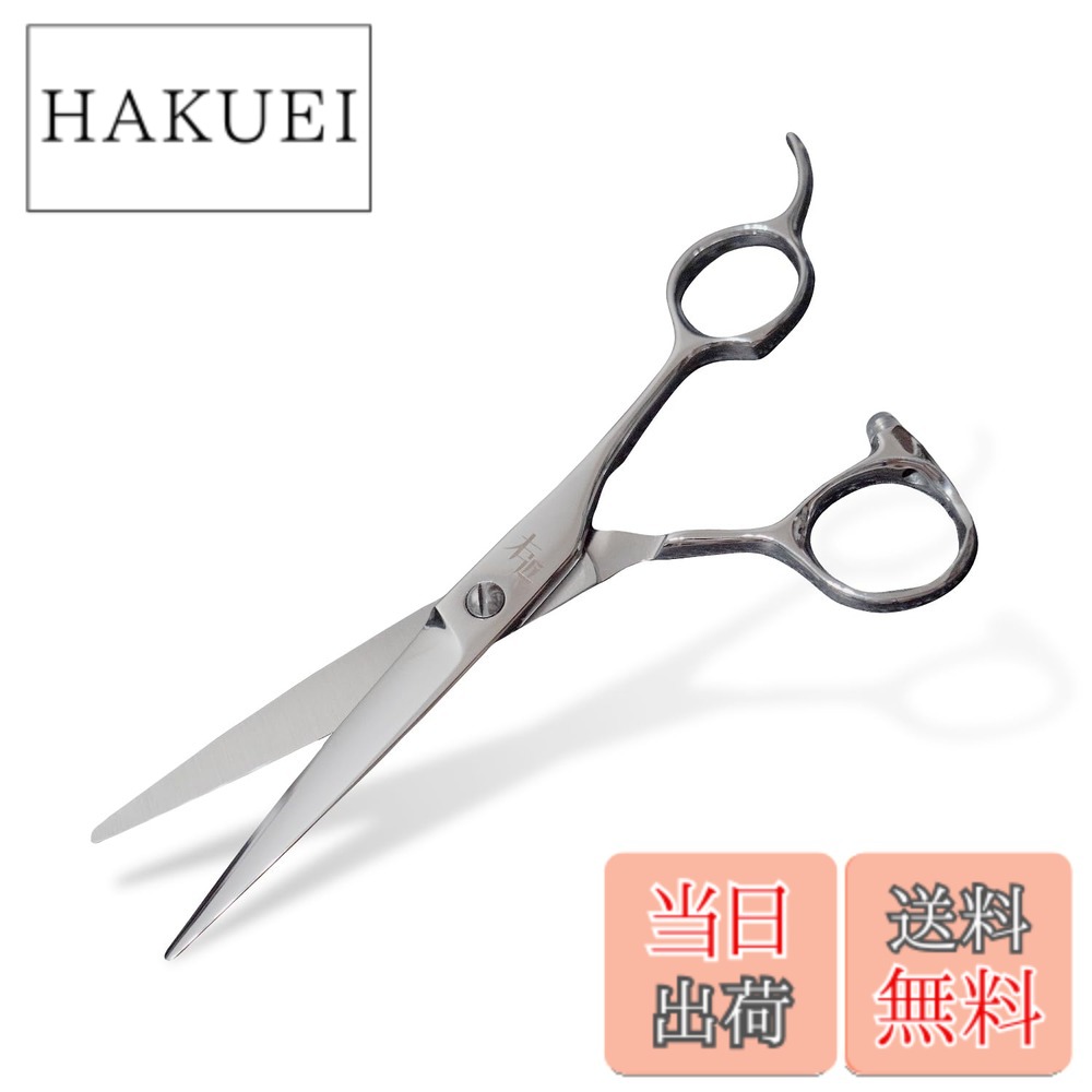【送料無料】右近 理美容ハサミ ドライカット専用 日本製 プロ仕様 ステンレス製 セルフカット 前髪カット レディース メンズ 色：シルバー