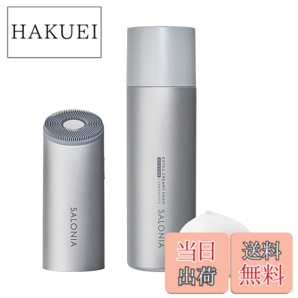 【送料無料】SALONIA サロニア 洗顔ブラシ イオンフェイシャルブラシ 色：シルバー｜HAKUEI 17,556円