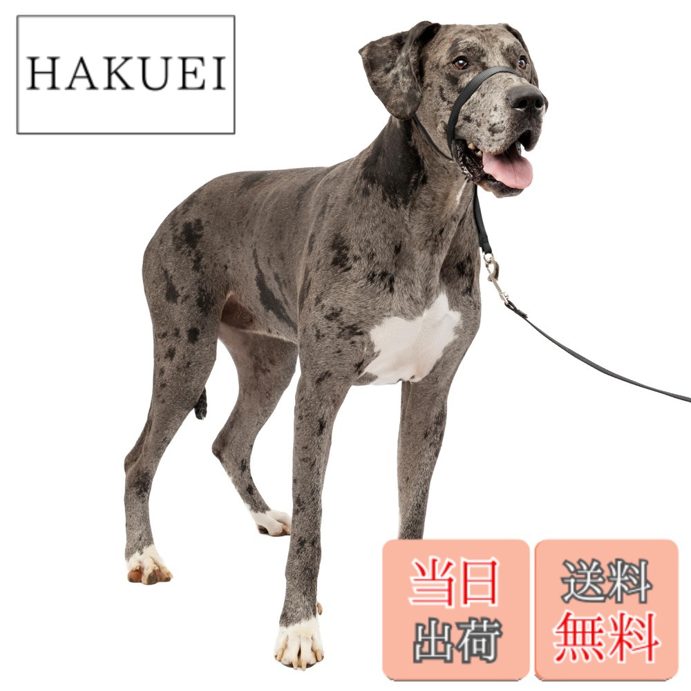 【送料無料】PetSafe（ペットセーフ） ジェントルリーダー 引っ張り防止 ヘッドカラー 犬用 散歩トレーニング 色：ブラック、サイズ：XLサイズ (x 1) 5,264円