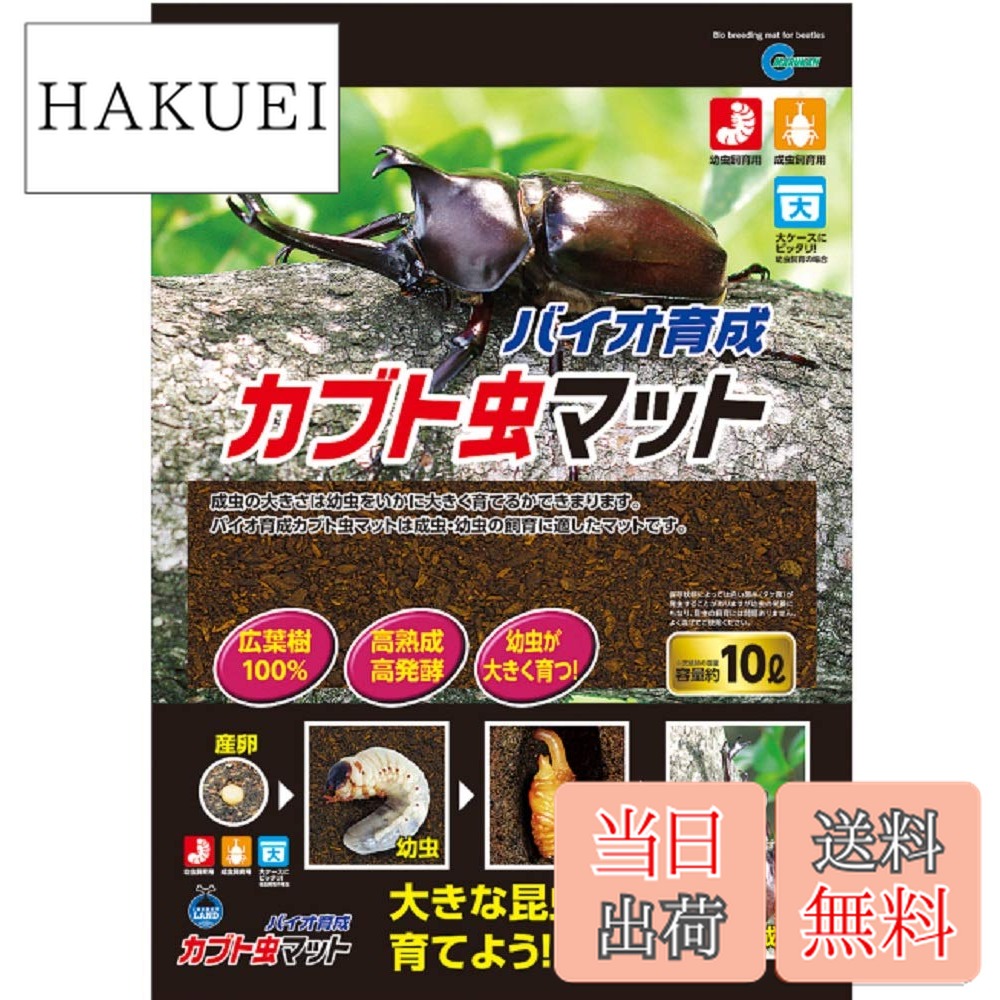 楽天市場】お取り寄せ品 ハイグレード クワガタ・カブトムシ幼虫飼育用
