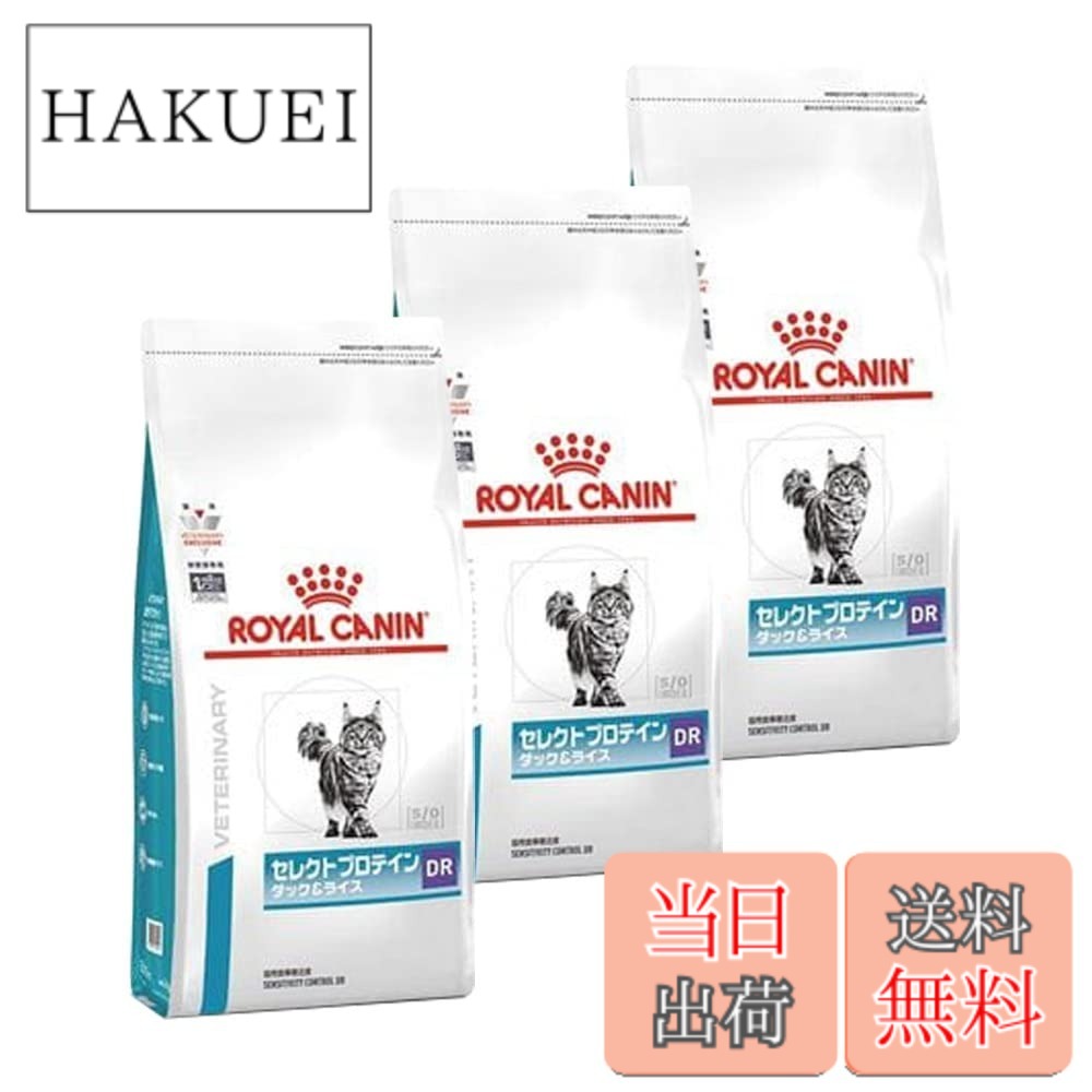 【貨物輸送無料】ロイヤル聖地 より分けるたんぱく質 家鴨＆上げ米 猫用 500gx3 大いさ：3