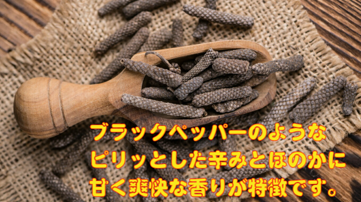 素晴らしい価格 100% ヒハツ パウダー 100ｇ 添加物 保存料不使用ヒハツ ロングペッパー ヒハツ粉末 料理に便利 隠し味 調味料 香辛料  微粉末 ゴースト血管 血流 スパイス ひはつ www.howler.com.ar