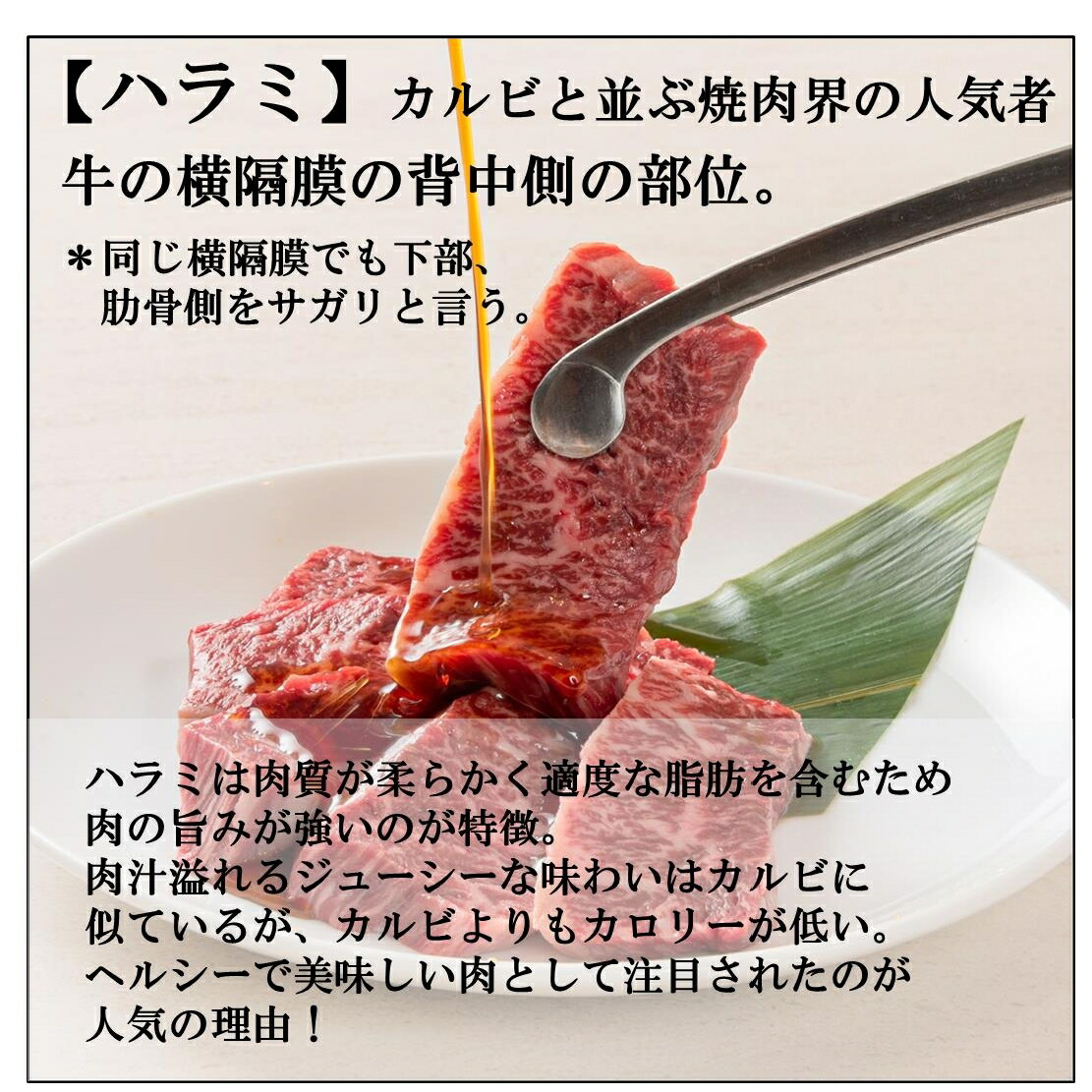 市場 ホルモン 食べ比べセット ホルモン盛り合わせ 黒毛和牛 焼き肉 食べ比べ 牛ホルモン 高級 2〜3名用 高級肉 焼肉セット セット ホルモンセット