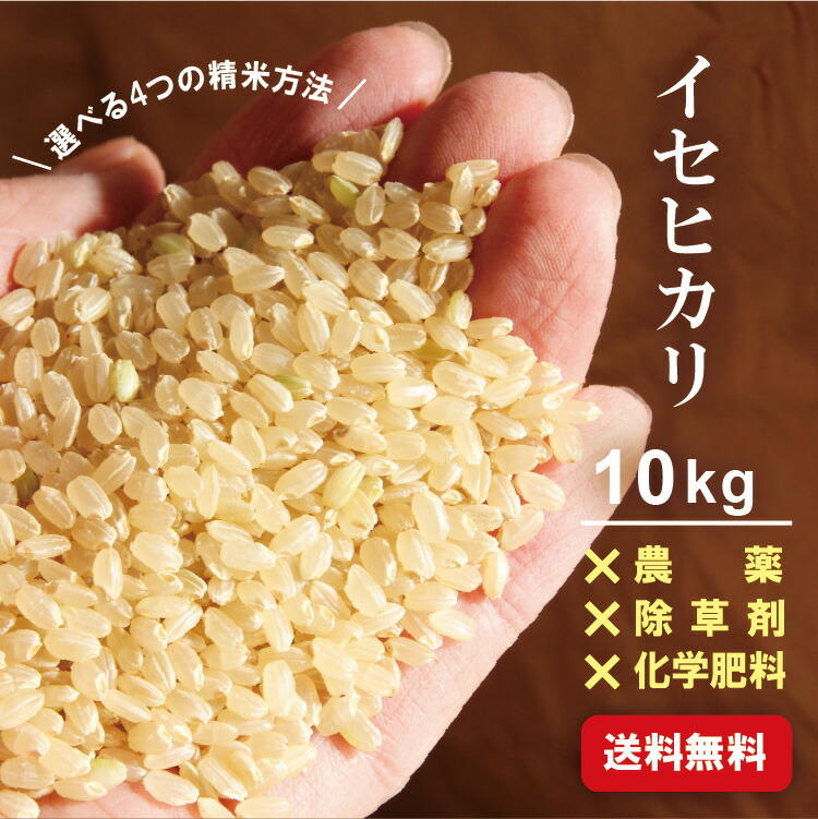 超激安 楽天市場 エコ ファーム奥野 イセヒカリ 10kg 白米 5分づき 8分づき 玄米 農薬不使用 無農薬 10kg 除草剤不使用 無化学肥料 選べる精米方法 伊勢光 お米 米 コメ こめ 国産 石川県産 石川産 石川県 送料無料 白山 お山のめぐみmarche 全商品
