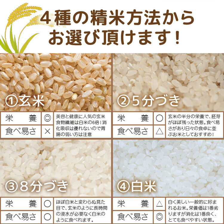 市場 自然栽培米 自然栽培 送料無料 無農薬 米 白山天照米 玄米 伊勢光 の 5kg 化学肥料も有機肥料さえ使わない お米 農薬不使用