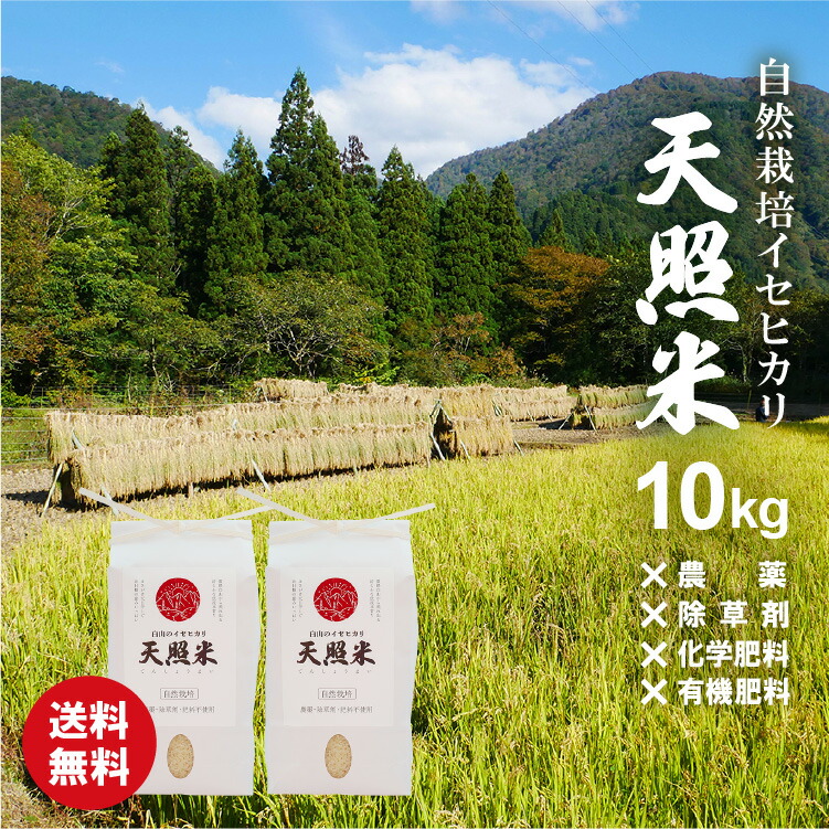 新米 自然栽培米 お米 10kg 無農薬 玄米 令和7年米 農薬不使用 除草剤不使用 ＜ 3分づき 5分づき 7分づき 玄米 白米 ＞精米方法が選べる イセヒカリ 伊勢光 令和7年米 R7 令和7年 2025年 12,692円