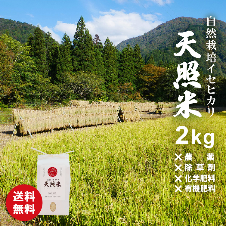 代引き不可 自然栽培 農薬化学肥料不使用 R4年度米 愛媛県産にこまる 天日干し米 10k