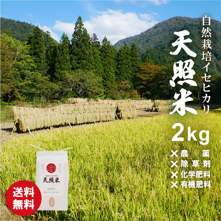 セール格安】 農家直送!無農薬!自然栽培!30年度佐賀県産!「伊勢ヒカリ