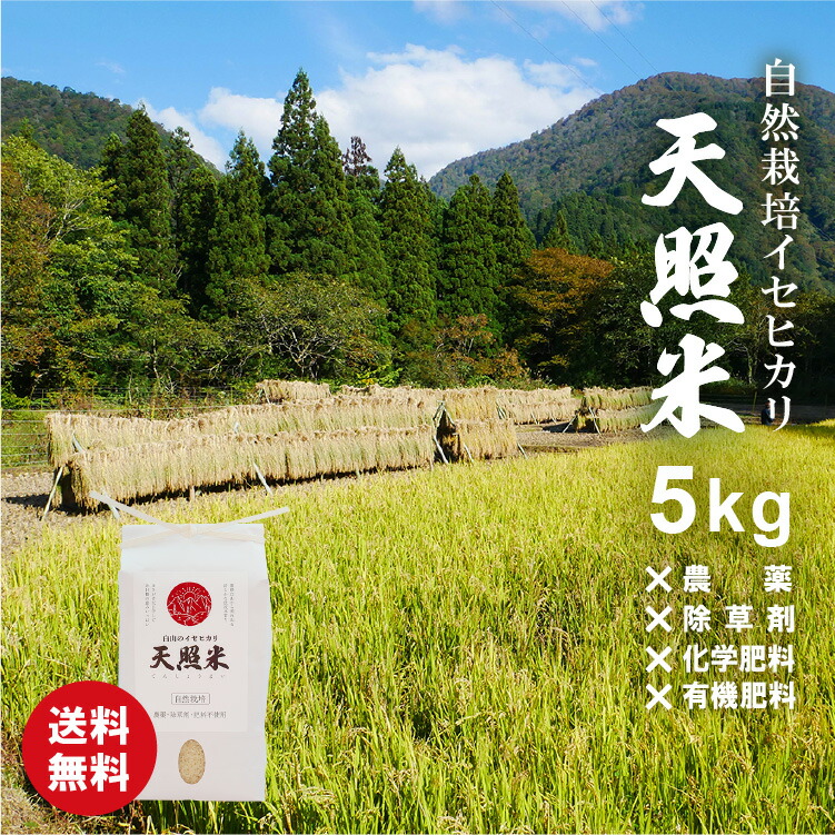 令和4年産 ☆天日干し☆はぜかけ米 低農薬 もち米 2kg もちひかり - 米