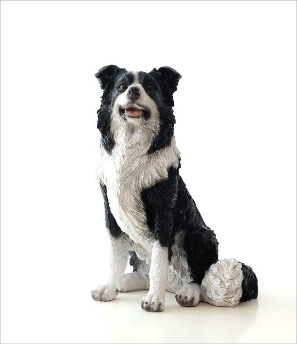 売り尽 犬 置物 オブジェ アニマル ドッグオーナメント 玄関 エントランス ガーデンオーナメント インテリア イヌ いぬ ペット 動物 オーナメント ボーダーコリー 流行に Www Insfatima Com Ar