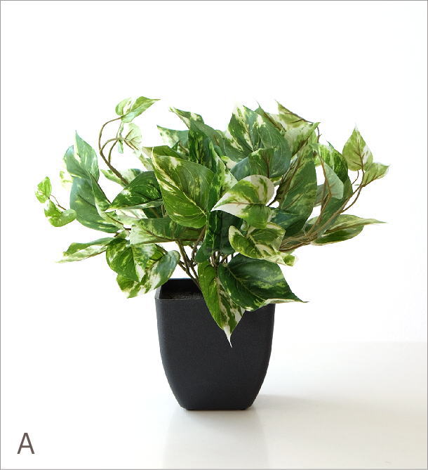 フェイクグリーン おしゃれ 卓上 ポトス グレープリーフ インテリア 人工観葉植物 フェイクグリーンのポット 2タイプ Educaps Com Br