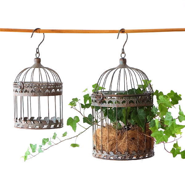 楽天市場】【大感謝祭限定クーポン配布中】鳥かご インテリア 鳥籠