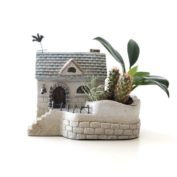 楽天市場】鉢 多肉植物 寄せ植え 植木鉢 セメント プランター 箱庭