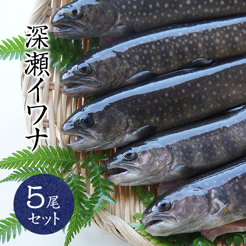 楽天市場 産地直送 生きたまま発送 川魚の女王岩魚 イワナ いわな 鮮魚 養殖 塩焼きに最適 おためしの10匹 送料無料 熊人楽天市場店