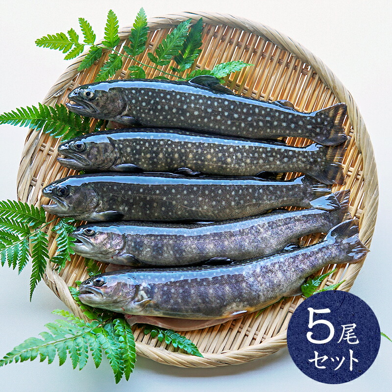 楽天市場】刺身 冷凍 ニジマス 約3人前 虹鱒 川魚 盛り合わせ 送料無料 誕生日 高齢 ギフト : 淡水養魚場「白山堂」 楽天市場店