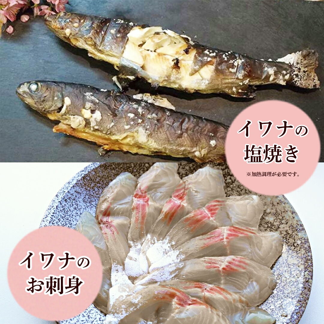 楽天市場 産地直送 冷凍川魚 岩魚 イワナの串打ち ５本セット 石川産 加賀白山 淡水養魚場 白山堂 岩魚 いわな 川魚 串焼き 焼き魚 養殖 冷凍 下処理済 個包装 串なし のし 熨斗 対応可 贈り物 ギフト 淡水養魚場 白山堂 楽天市場店