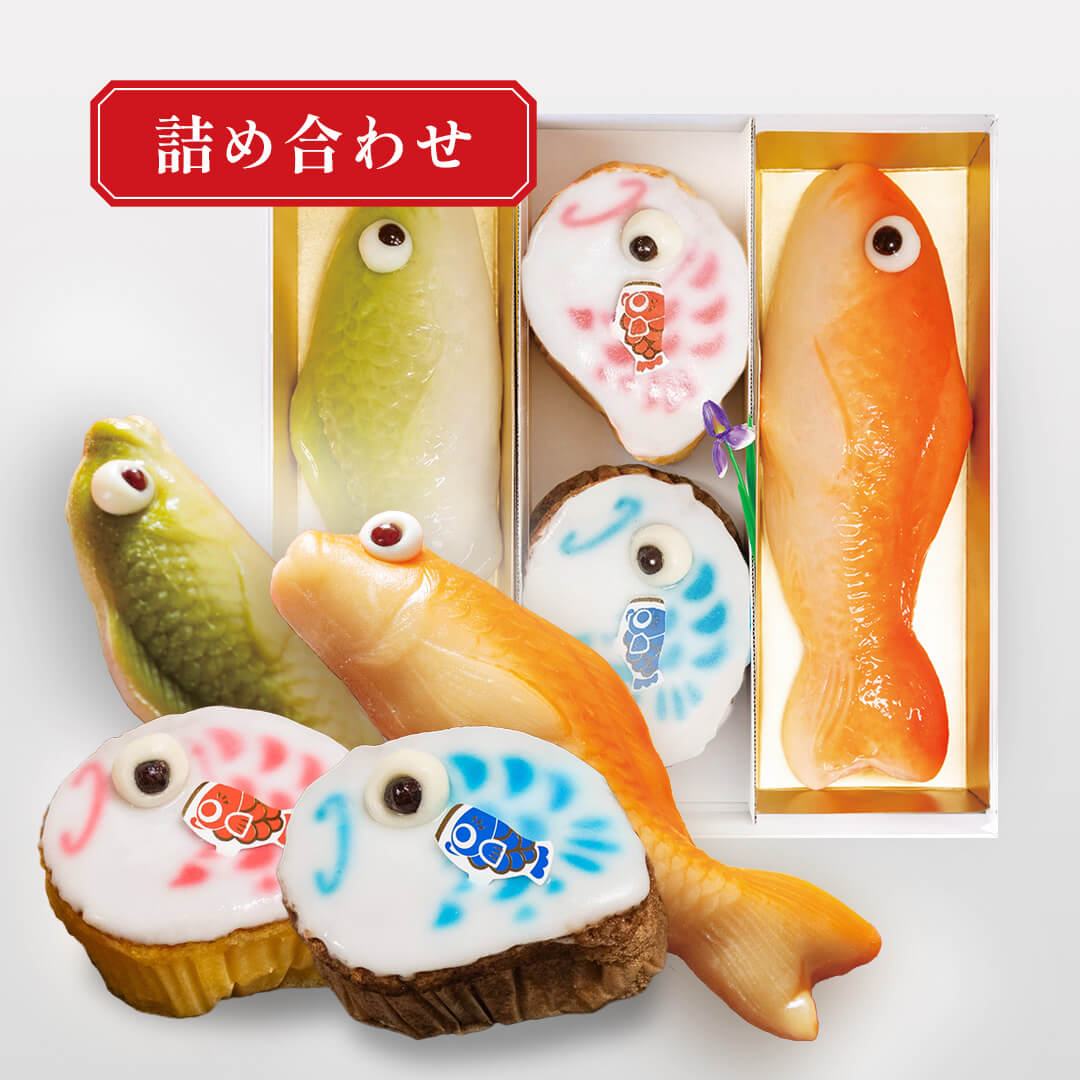 【期間限定】数量限定商品 白水堂 鯉餅菓子 五月セット2 鯉餅菓子中（白あん・黒あん）2匹・鯉かすてら・鯉チョコかすてら 端午の節句 初端午 節句 こどもの日 お祝い お返し 内祝【予約商品 4/20より順次発送】